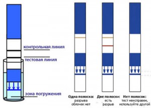 тесты на беременность