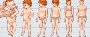 Особенности развития ребенка в периоде первого детства thumbnail